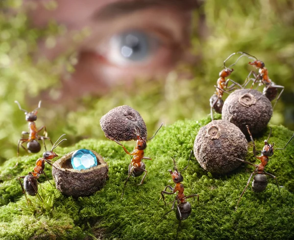 Fourmis d'espionnage humain cachent trésor, contes de fourmis — Photo