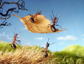 Ameisen fliegen auf Blatt, Ameisengeschichten