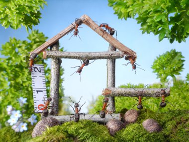 team of ants constructing wooden house, teamwork clipart