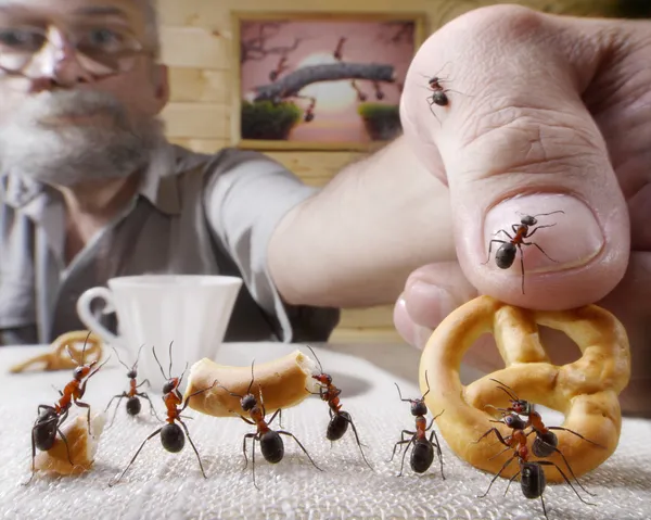 Récompenses humaines fourmis avec cuisson Images De Stock Libres De Droits