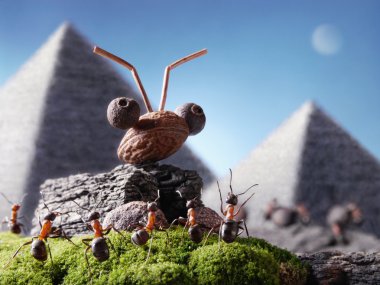 Karıncalar Sfenks ve karınca tales pyramiding