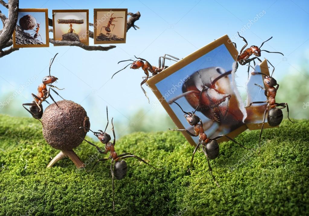 antrey