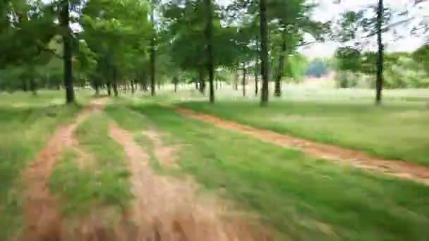 Бешеная толпа бежит через лес — стоковое видео