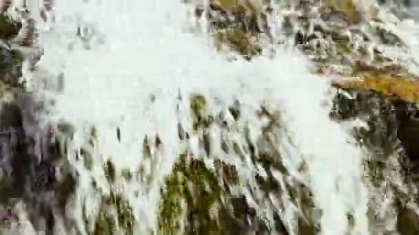 El agua limpia fluye en una ladera — Vídeos de Stock