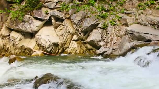 Gebirgsfluss fließt um Felsen — Stockvideo