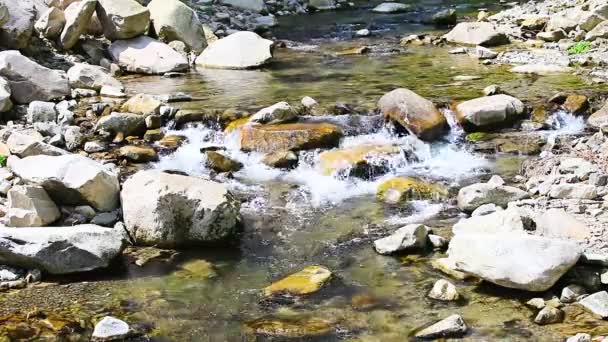Cascades de ruisseau de montagne — Video