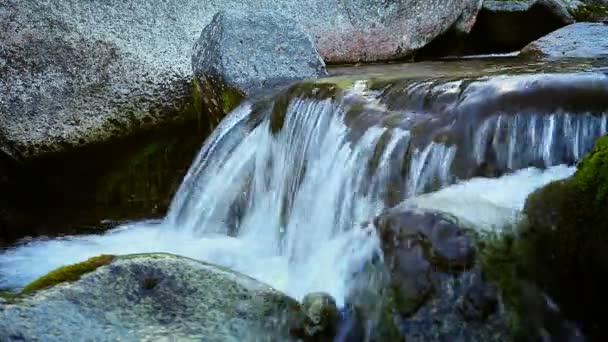 Ruisseau de montagne avec eau froide propre 