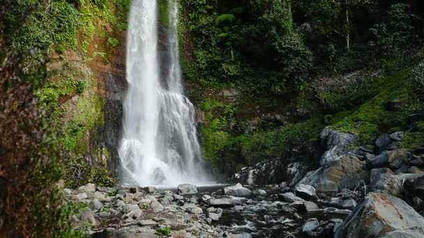 1920x1080 vídeo - Cachoeira de montanha na floresta tropical — Vídeo de Stock