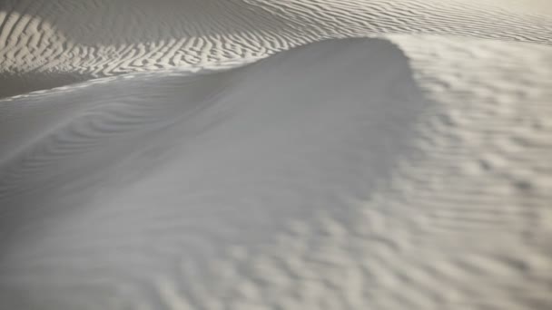 1920x1080 video - Dunes de sable dans le désert indien — Video