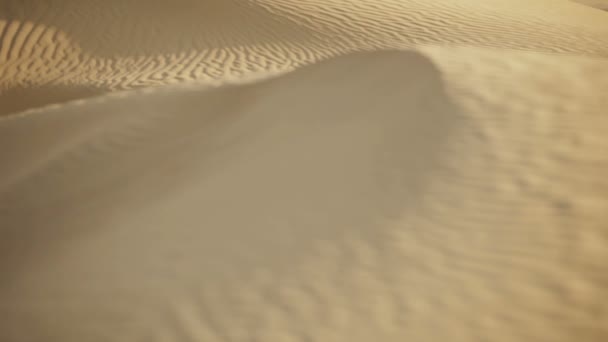 Sanddüne in der Wüste — Stockvideo