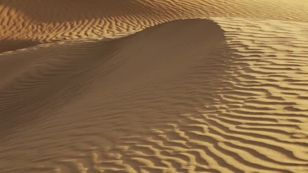 Eine Sanddüne aus nächster Nähe. Indien — Stockvideo