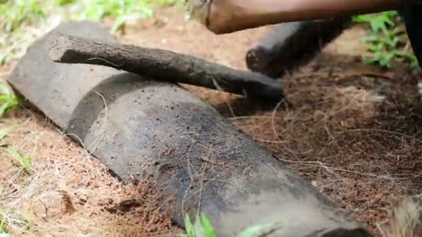 椰子纤维-软化用一根棍子的制造 — 图库视频影像