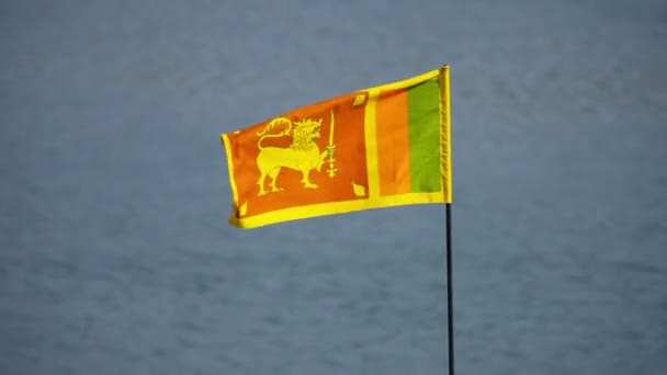 Flag of Democratic Socialist Republic of Sri Lanka — Stock Video