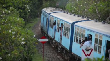 Bentota, sri lanka - Mayıs 02: yolcu treni yolcu dönüş üzerinde 02 Mayıs 2013 bentota, sri lanka, yemyeşil ağaçlar arasında. Sri lanka Demiryolları bağlama colombo ve birçok nüfusu turistik yerler.