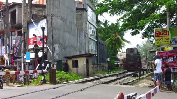 Aluthgama, sri lanka - Mayıs 02: yolcu treni, aluthgama, sri lanka demiryolu geçidi üzerinde 02 Mayıs 2013 geçer. sri lanka Demiryolları Colombo ve birçok nüfus merkezleri ve turistik yerler arasında — Stok video