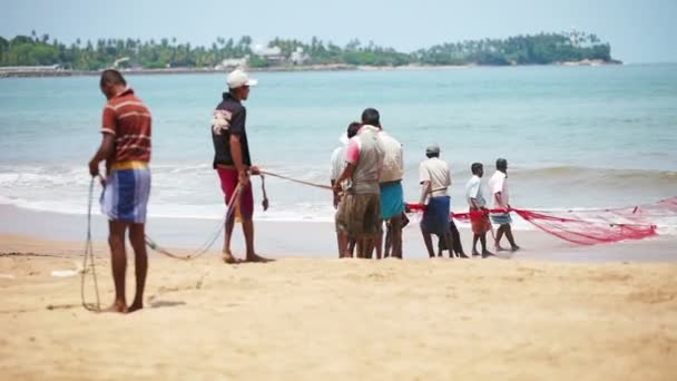 HIKKADUWA, SRI LANKA - APR 26: Local fishermen pull net from the ocean on Apr 26, 2013 in Hikkaduwa, Sri Lanka. Men collected for a joint fishing — Stock Video