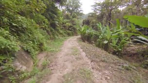 Mouvement sur la route rurale à travers la forêt tropicale 