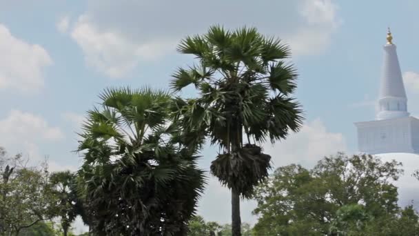 Sri Lanka landmärken - en stor vit stupa (Dagoba) — Stockvideo