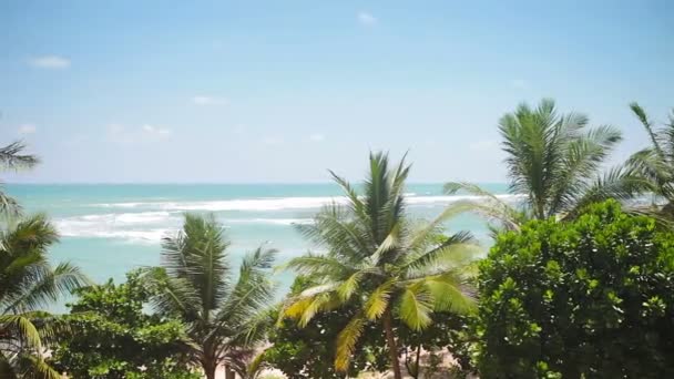 Hermosa playa tropical con palmeras de coco — Vídeo de stock