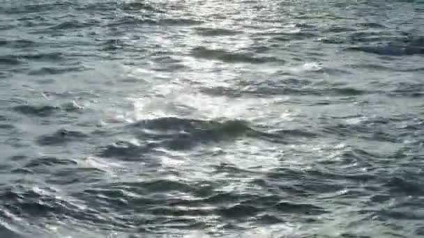 Ondas de agua en mar abierto — Vídeo de stock