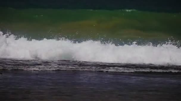 Oceánu vlny valily přes korálový útes — Stock video