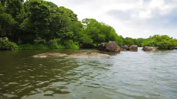 岩石和灌木上的热带河岸边 — 图库视频影像