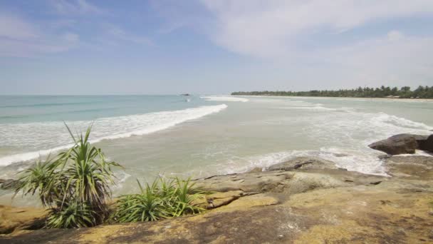 Video 1920x1080 - Costa oceánica. Sri Lanka — Vídeo de stock