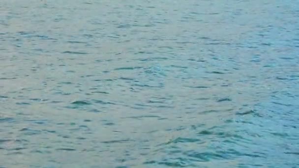 Video 1920x1080 - La superficie del agua de mar. Fondo de bucle — Vídeo de stock