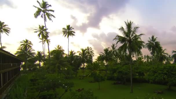 Відео 1080p - Пальми біля готелю на фоні неба - timelapse — стокове відео