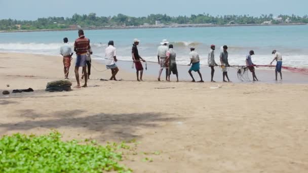 HIKKADUWA, SRI LANKA - 26 avril : Des pêcheurs locaux tirent un filet de l'océan le 26 avril 2013 à Hikkaduwa, au Sri Lanka. Hommes recueillis pour une pêche conjointe — Video