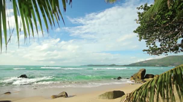 Palmiye ağaçları ve küçük kayalar ile video 1920 x 1080 - ıssız tropikal plaj — Stok video