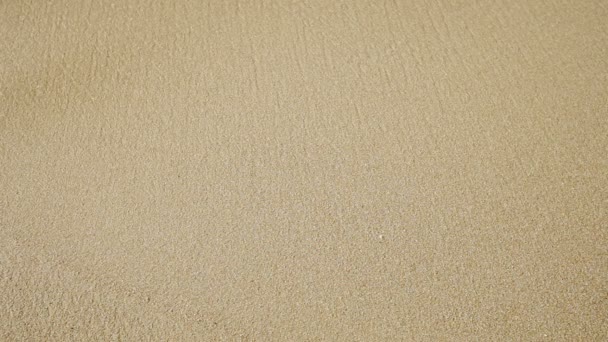 Vidéo 1920x1080 - Les vagues et le sable sur la plage gros plan 