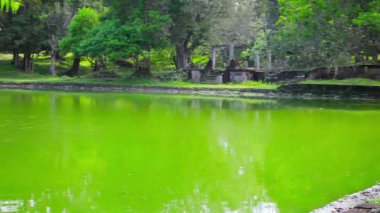 video 1920 x 1080 - anuradhapura, sri lanka - antik büyük Yüzme Havuzu