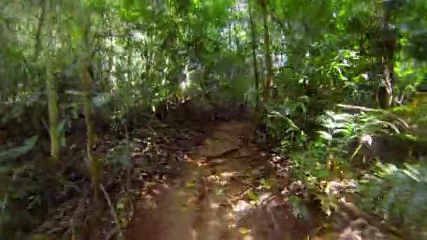 Vídeo 1920x1080 - Corrida rápida ao longo do caminho sinuoso na floresta tropical — Vídeo de Stock