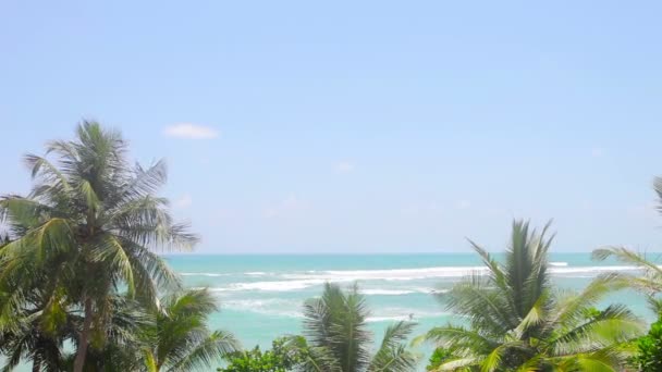 视频 1920 x 1080-热带树木和蔚蓝的大海 — 图库视频影像