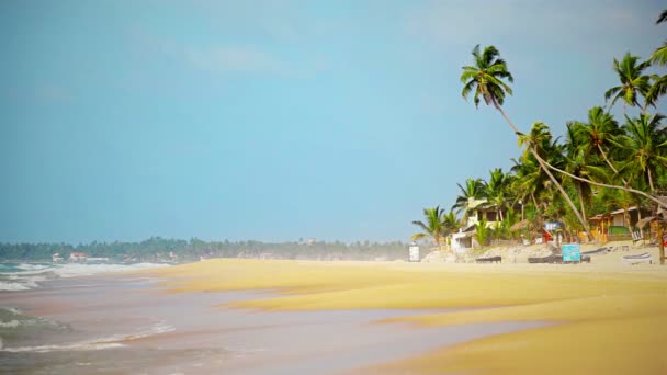 Video 1920x1080 - Playa tropical desierta con palmeras — Vídeos de Stock