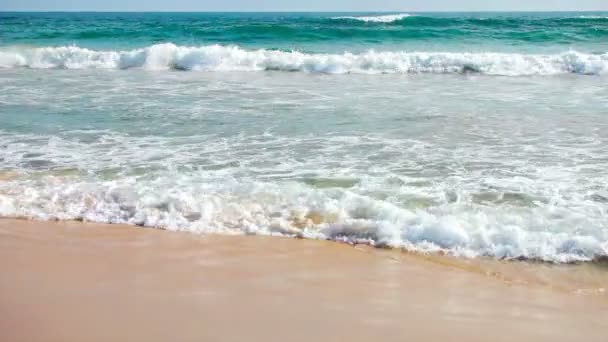 ビデオ 1920 x 1080 - 嵐の海と砂浜のビーチ — ストック動画