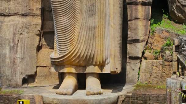 Videa 1080p - avukana socha Buddhy, Srí lanka — Stock video