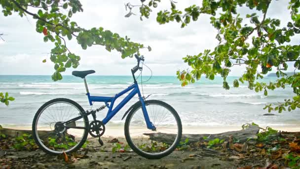 Video 1920x1080 - Bicicletta su una spiaggia tropicale. Natura selvaggia della Thailandia — Video Stock