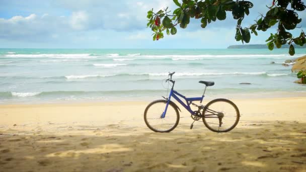 Видео 1080p - Велосипед припаркован на тропическом пляже — стоковое видео