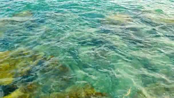 Vidéo 1920x1080 - Rochers dans l'eau de mer — Video