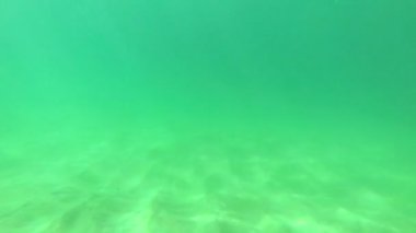 kumlu plaj önünde alt video 1920 x 1080 - sualtı görüntüleme