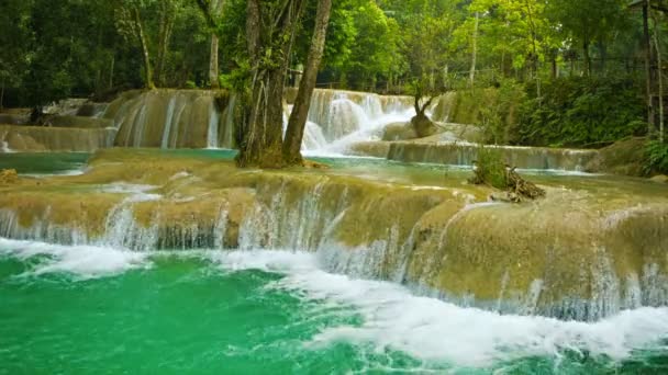 Video 1920x1080 - Forest Kouang Si Waterfall, Laos — Stock Video