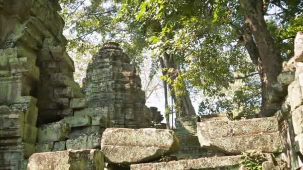 Video 1920x1080 - Ruins of ancient Buddhist temples of the 12th century. Cambodia, Angkor — Stock Video