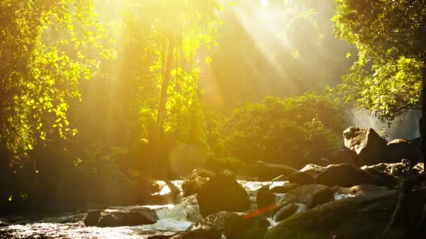 Vídeo 1920x1080 - Parque Nacional Phnom Kulen de Camboya — Vídeo de stock