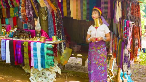 CHIAND RAI, TAILANDIA - 04 DIC 2013: Kayan Lahwi (Kayan de cuello largo) mujer con anillos de cuello en la aldea de la tribu de la colina cerca de su tienda . — Vídeo de stock