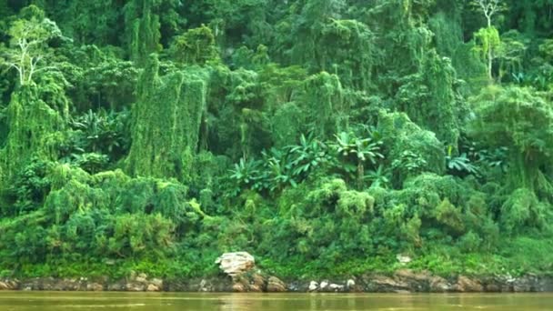 Wideo 1920 x 1080 - dżungli nad brzegiem rzeki mekong. Laos — Wideo stockowe