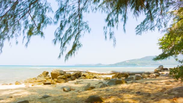 Vidéo 1920x1080 - Côte tropicale de l'océan. Thaïlande — Video