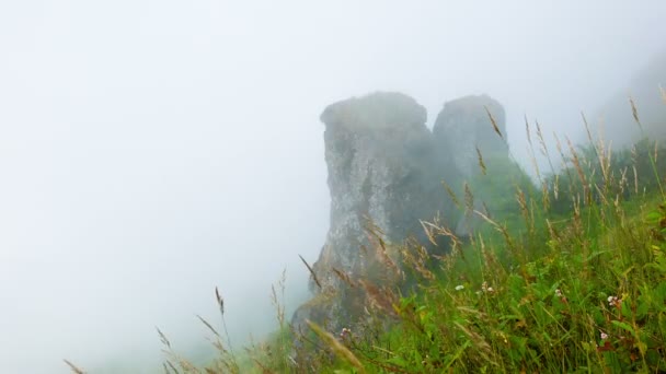 Video 1920x1080 Hillside (en inglés). Roca caliza en las nubes. Highlands Tailandia — Vídeo de stock
