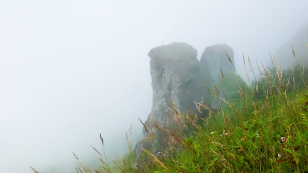 Video 1920x1080 - Hang. Kalksteinfelsen in den Wolken. Hochland Thailand — Stockvideo